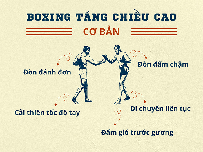 Các động tác boxing cần lưu ý để tập luyện hiệu suất cao