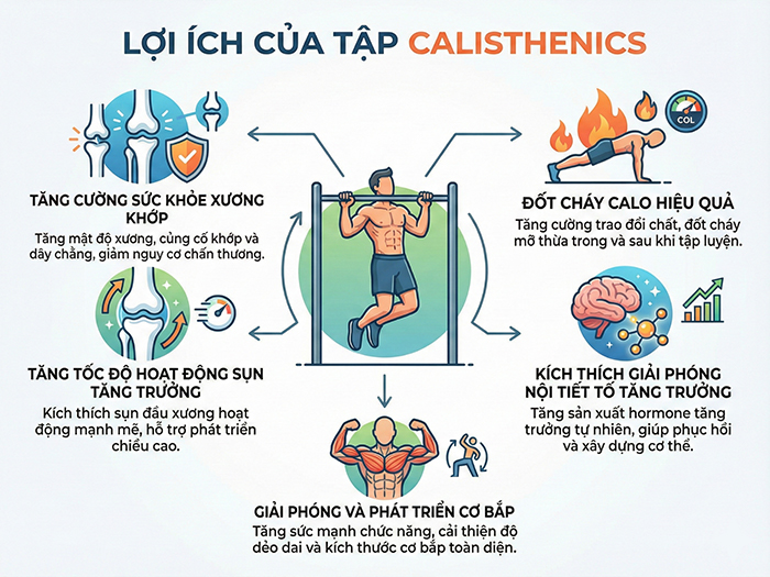Nhiều lợi ích từ Calisthenics giúp trẻ phát triển chiều cao