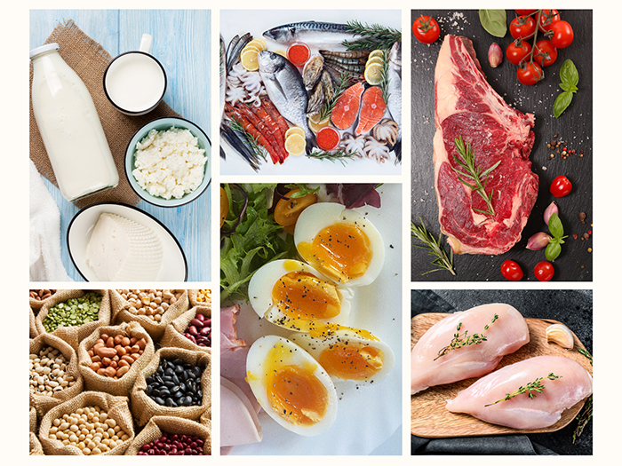 Thực phẩm giàu protein chất lượng