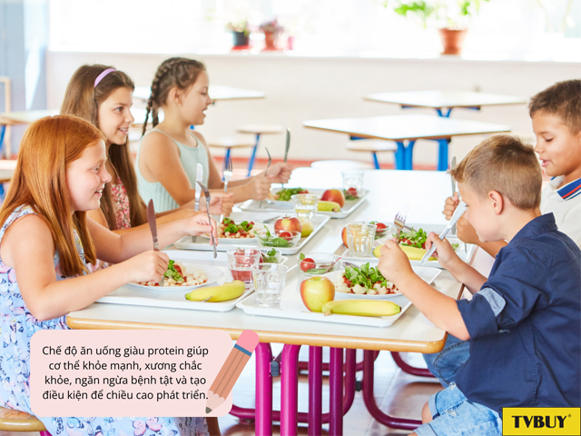 Protein đóng vai trò quan trọng với quá trình tăng trưởng chiều cao