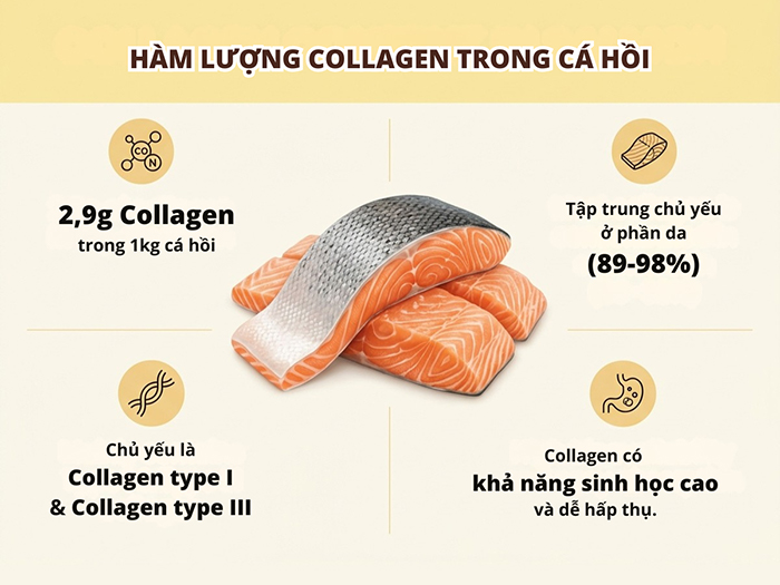Hàm lượng Collagen có thể nhận được khi ăn cá hồi.