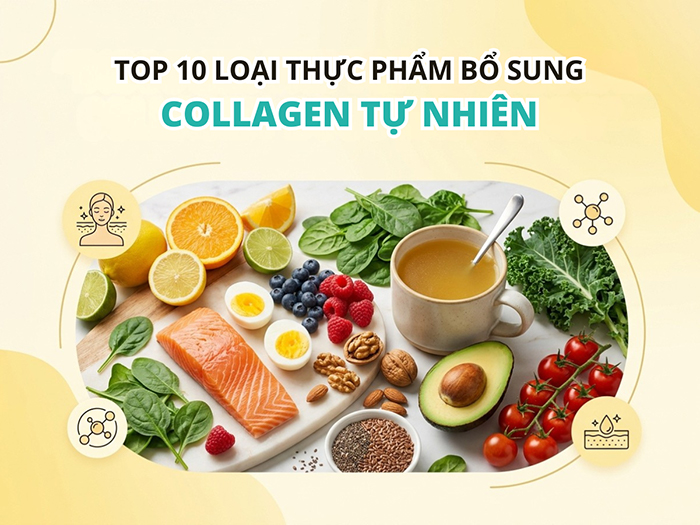 Khám phá 10 loại thực phẩm bổ sung Collagen tự nhiên.