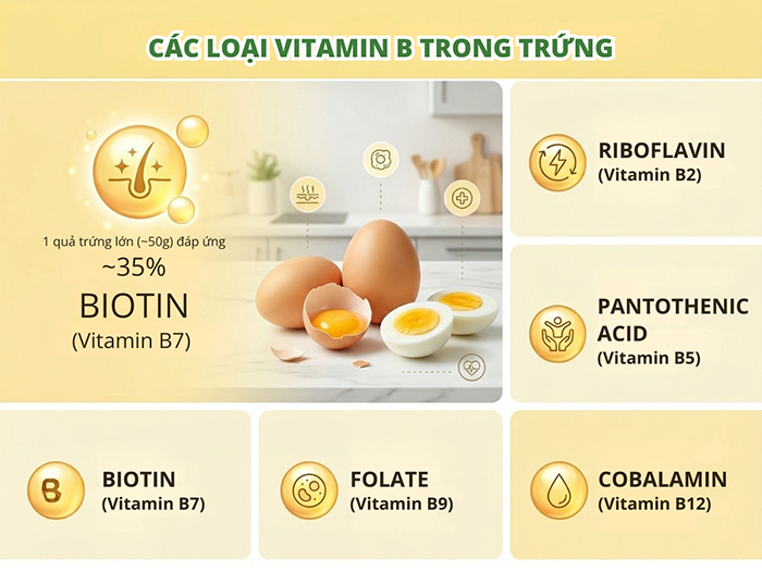 Các loại vitamin B có trong trứng.