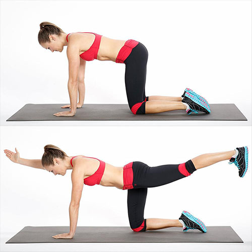 tu-the-bai-tap-pilates-bird-dog-chim-cho
