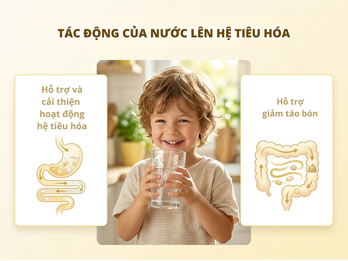 Nước giúp tiêu hóa tốt hơn và giảm táo bón.