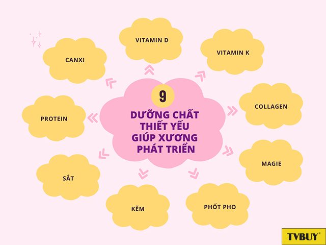 Các dưỡng chất thiết yếu giúp xương phát triển chắc khỏe