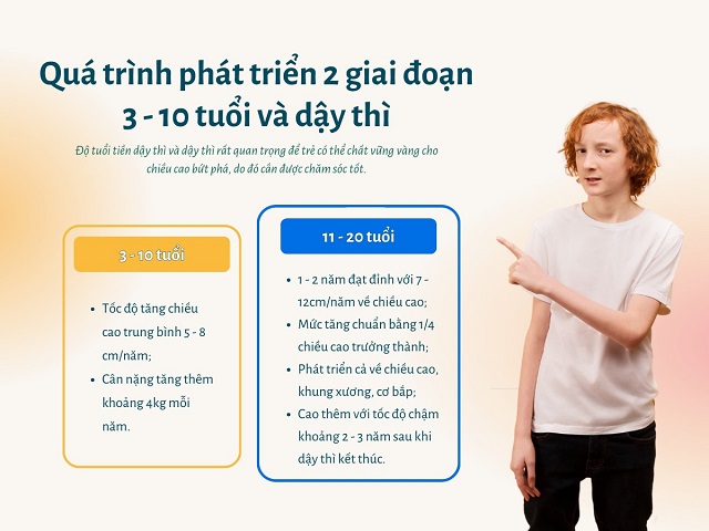 Trẻ được chăm sóc tốt ở tuổi tiền dậy thì và dậy thì sẽ có tốc độ tăng trưởng tối ưu