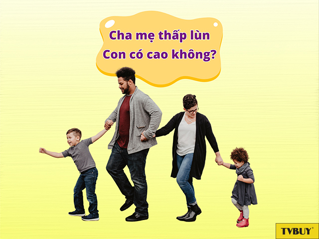 Di truyền chỉ là một yếu tố nhỏ tác động đến chiều cao của mỗi người
