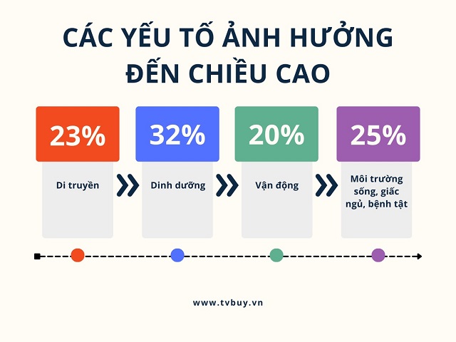 Các yếu tố ảnh hưởng đến chiều cao