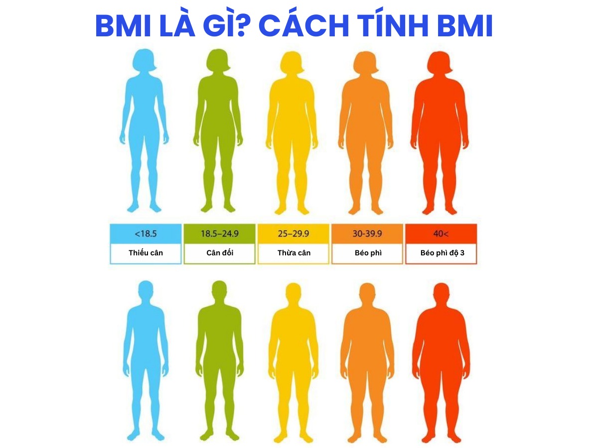 chỉ số bmi 