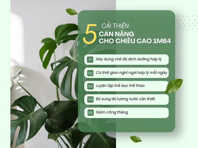 Những cách để điều chỉnh cân nặng hiệu quả bạn nên thực hiện