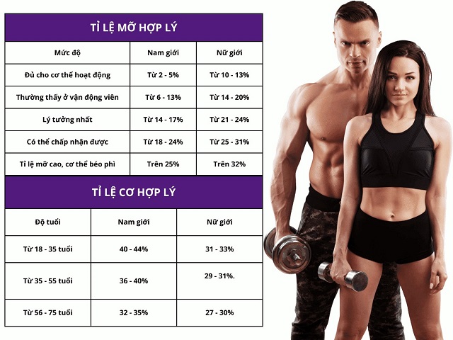 Bảng tỉ lệ mỡ và cơ cho nam và nữ