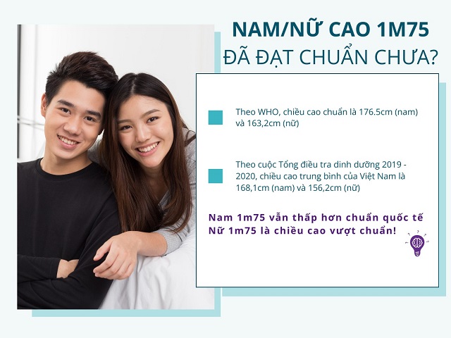 Nam nữ Việt Nam cao 1m75 đã đạt tiêu chuẩn quốc tế chưa?