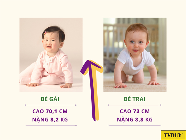 Chiều cao cân nặng chuẩn của bé 9 tháng tuổi