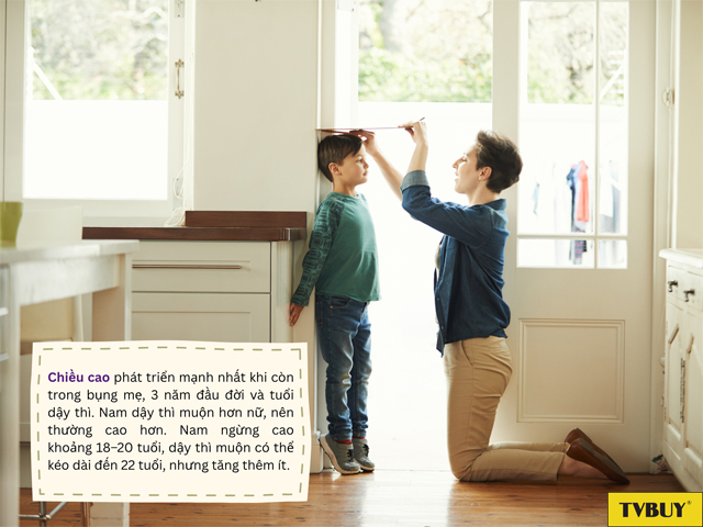 Chiều cao nam giới phát triển từ 0 đến khoảng 20 tuổi