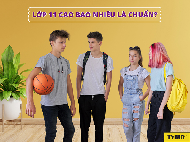 Lớp 11 được xem là giai đoạn cuối của quá trình phát triển chiều cao