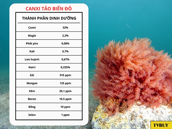 Bảng thành phần dinh dưỡng chính trong Canxi từ tảo biển đỏ