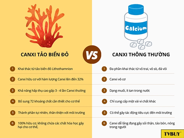 So sánh Canxi tảo biển đỏ và Canxi thông thường