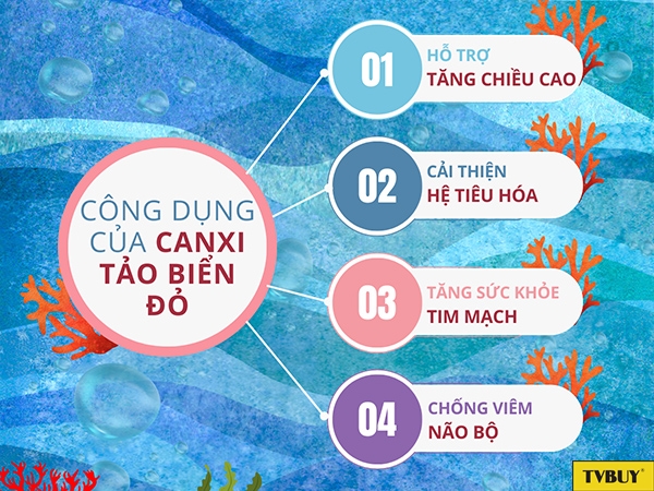 Những công dụng đã được chứng minh của Canxi tảo biển đỏ