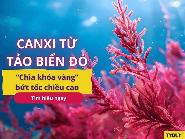 Canxi tảo biển đỏ là dưỡng chất quý hiếm chiết xuất từ loại tảo Lithothamnion