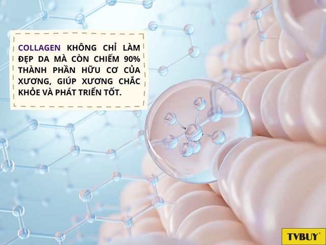 Collagen là dưỡng chất có lợi cho sức khỏe xương và quá trình cải thiện vóc dáng