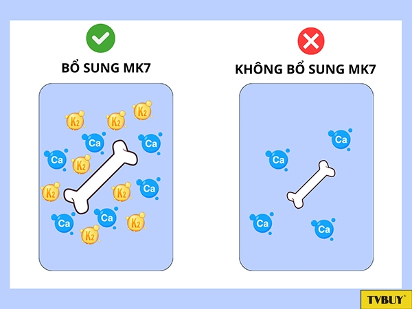 MK7 hỗ trợ quá trình Canxi gắn kết vào xương, hỗ trợ chiều cao phát triển 