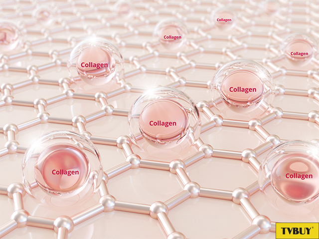Collagen tồn tại nhiều vị trí trong cơ thể