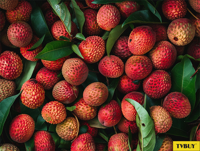vải
