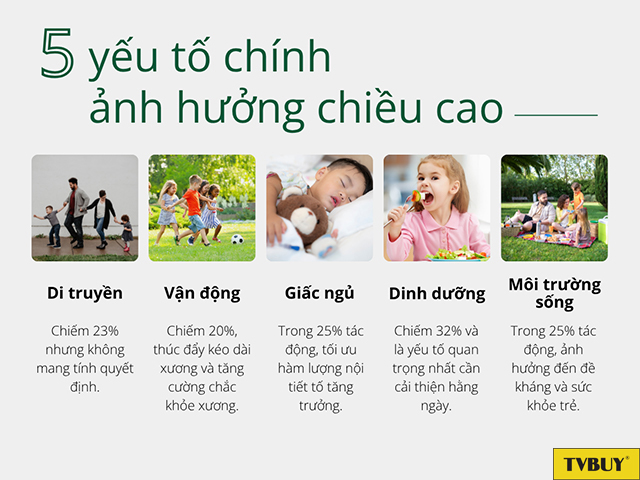 Các yếu tố chính ảnh hưởng đến chiều cao của trẻ