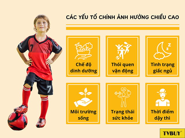 Các yếu tố ảnh hưởng chiều cao có khả năng điều chỉnh