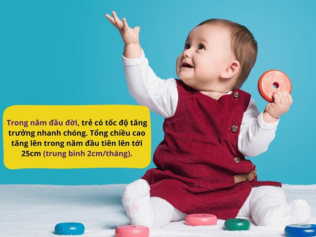 1 năm đầu đời là giai đoạn chiều cao gia tăng nhanh nhất