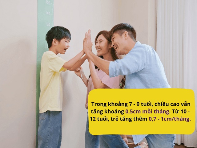 Chiều cao gia tăng ổn định trong giai đoạn 7 - 12 tuổi