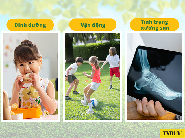 3 yếu tố chính ảnh hưởng đến quá trình cốt hóa xương
