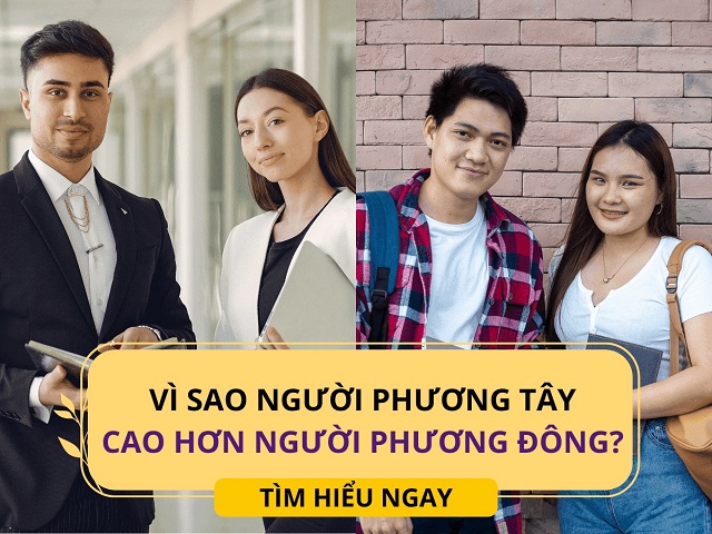  Lý do tại sao người phương Tây cao hơn người phương Đông?
