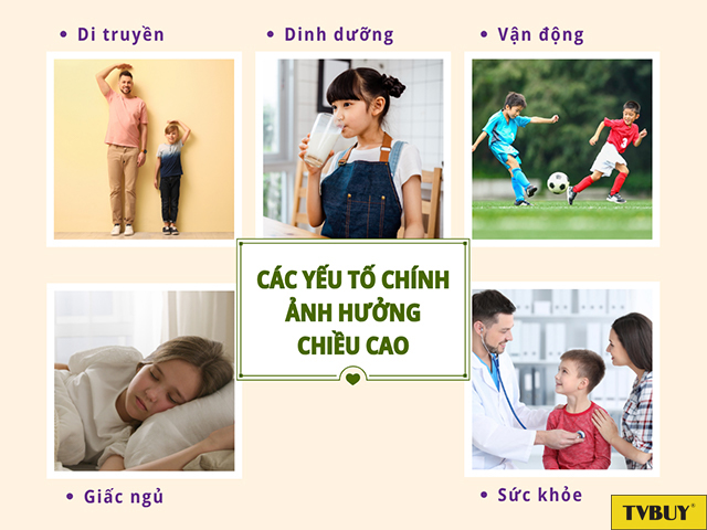 Đảm bảo các yếu tố ảnh hưởng giúp quá trình phát triển chiều cao thuận lợi