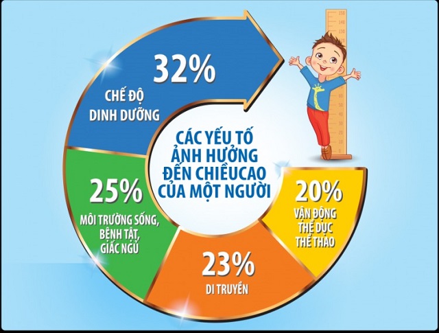 Các yếu tố tác động mạnh mẽ đến tốc độ phát triển chiều cao của trẻ
