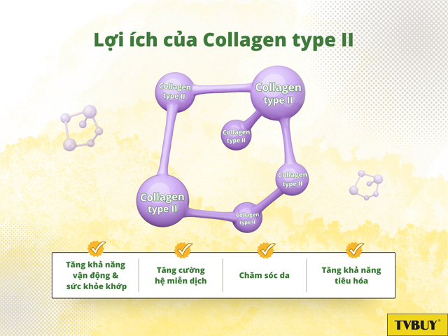 Các lợi ích chính của việc bổ sung Collagen type II