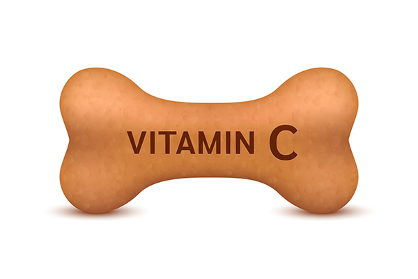 vitamin-c-anh-huong-the-nao-den-su-phat-trien-chieu-dai-xuong